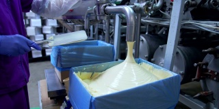 在乳品厂制作黄油。牛奶厂的工业设备。乳品生产工厂的工人。新鲜光滑的黄油从管子里倒进盒子里。