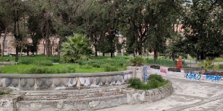 那不勒斯-莫洛西格里奥花园的纸莎草纸喷泉概览