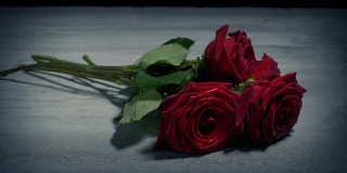 在事故或犯罪现场放置的玫瑰