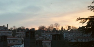 日落时分，鸟儿和建筑物在天空中飞翔。