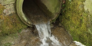 在森林里，把雨水从一个巨大的混凝土管道里排出来。近距离拍摄，实时拍摄，没有人