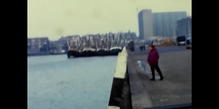 一个女人站在卢塞恩的码头上，湖里有海鸥