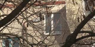 苏联城市中典型的住宅建筑。带窗户和阳台的老式板式公寓。