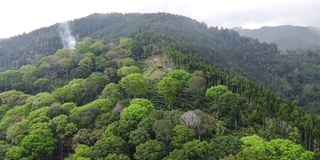 鸟瞰图热带森林与山脉的背景