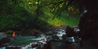 一个美丽的无缝视频循环/ Cinemagraph在哥斯达黎加丛林拉福图纳阿雷纳瀑布河郁郁葱葱的绿色植物和饱和的蓝色水流动和冲过热带森林。