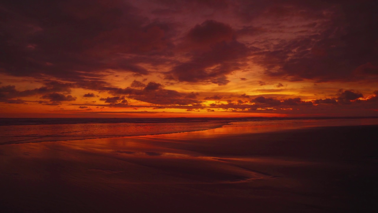 美丽的日落cinemagraph /无缝视频循环在曼纽尔安东尼奥国家公园宽广和遥远的太平洋沙滩，哥斯达黎加。云朵把整个天空和海浪都染成了红色。一只小乌龟正向水里游去。