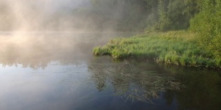 夏日清晨拂晓时，雾漂浮在森林湖上