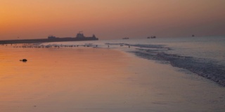 美丽的Mandvi海滩与橙色的天空在日出。平静的热带海滩背景适合暑假旅行。在印度古吉拉特邦库奇的曼dvi。