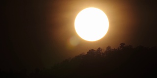 使用超远摄镜头拍摄日落时分大太阳下的4k快速特写场景，在一天结束的时候，山岭上树木的剪影