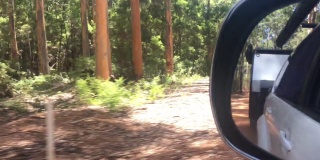 侧镜视图反射的汽车和大篷车驾驶在森林期间公路旅行在澳大利亚
