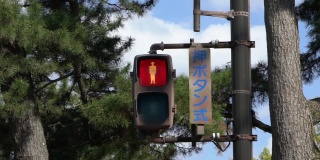 慢动作红色灯光照亮亚洲人行横道标志奈良