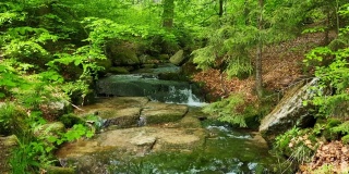 在山区的森林里，一条风景如画的小溪流过石头。风景如画的放松的背景。在自然。新鲜干净的空气