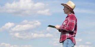 后视图的女农民站在年轻的麦草田，看着地平线