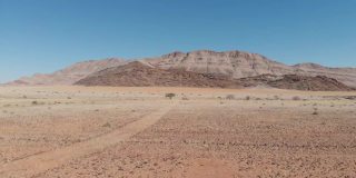 无人机朝着非洲纳米比亚沙漠中的金合欢树飞行，背景是一座小山。一棵背景中有小鸟和蓝天的树。遥远的沙漠里的尘土和沙子。冈瓦纳沙漠。