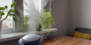 家用植物加湿器中的水雾蒸汽。加湿在家里。