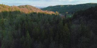 德国风景优美的巴伐利亚国家公园，一架无人机在一片田园诗般的绿色森林和树冠上飞行。下面的一条河流指明了通往远方巴伐利亚阿尔卑斯山脉的道路。4 k UHD决议。