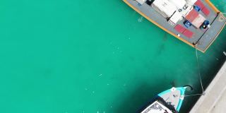 在印度洋，马尔代夫的阿利夫阿利夫环礁上，灰色礁鲨在拉杜岛的渔船周围游动。用无人机拍摄野生鲨鱼在绿色的水中与船只的视频。