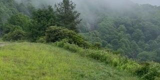 蓝岭公园道路树木山坡和山脉与悬挂的云和雾