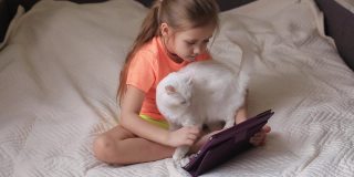 小女孩正在玩平板电脑在线游戏，躺在床上的白猫旁边