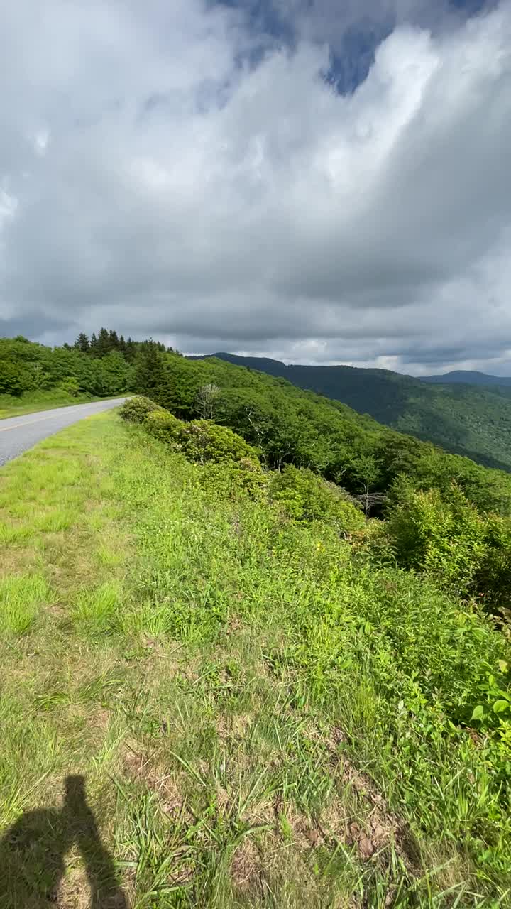 蓝岭公园路山景与橙色杜鹃花