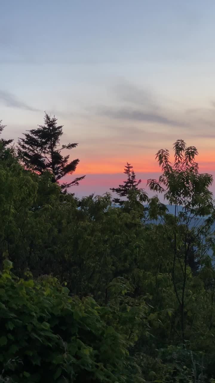 大烟山彩霞日落与树木