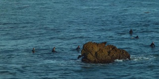 冲浪者在南加州海岸的海水中等待合适的海浪。