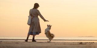 美丽的风景和女人训练狗，而站在海边日落spbi
