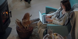 年轻女子使用笔记本电脑，坐在壁炉边的扶手椅上，抚摸着一只姜黄色的家猫。远程工作，灵活的工作时间