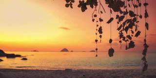 在马来西亚Perhentian岛的一个遥远的热带亚洲海滨沙滩上，有一棵巨大的树和全景海景，一个充满活力的红色日落和贝壳的Cinemagraph /无缝视频循环。蓝天碧水，风景秀丽，是旅游度假区。