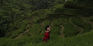 一对情侣站在巴厘岛奇妙的稻田上热吻