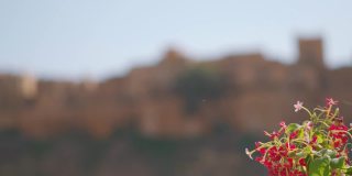 印度拉贾斯坦邦Jaisalmer堡的架焦点镜头。焦点从城堡前的花变成了Jaisalmer城堡。