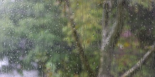 雨水浸透的窗口