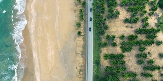 航拍的道路之间的椰子树和海洋