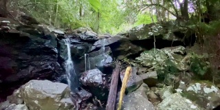 Huonbrook Valley Rainforest Creek瀑布