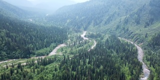 空中拍摄的小山上的针叶林。无人机俯瞰一望无际的云杉森林，山川风光。