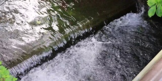这是滋贺县泗门矶佐河美丽清澈的溪流