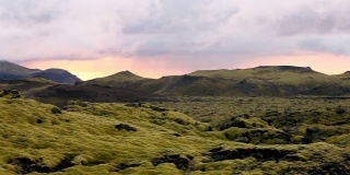 冰岛毛茸茸苔藓的超现实景观