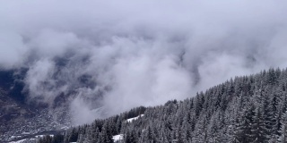 滑雪胜地的冬季风景，云朵和雪树