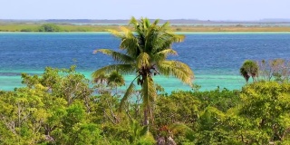 墨西哥热带丛林的Muyil泻湖全景。