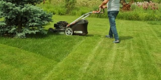 割草机正在割草。园艺活动。在阳光明媚的花园里用汽油驱动的割草机割草。园丁在花园里摆弄割草机。割草机割着绿草