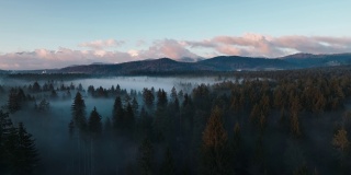 空中拍摄的森林与雾和山的背景