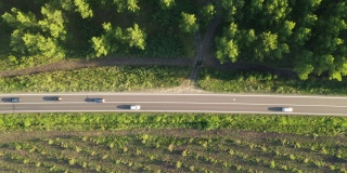 俯视图空中拍摄的许多汽车在道路上通过落叶林，无人机hoovering直接上方
