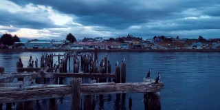 智利纳塔雷斯港傍晚的景色