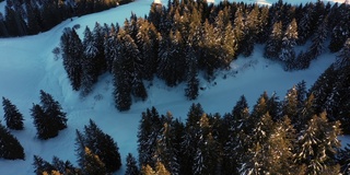 鸟瞰雪山森林和冬季著名的冬季滑雪胜地鸟瞰。冬天在高山。冬天在塔特拉山脉，奥地利，瑞士，意大利，波兰。