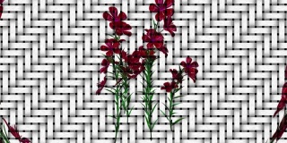 植物艺术紫色花数字渲染