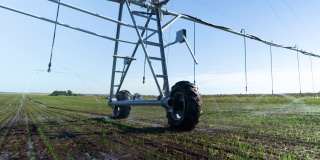灌溉系统，在麦田喷洒水。