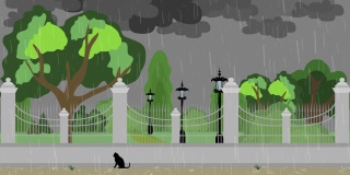 在城市公园里，一只孤独的黑猫被雨淋湿了