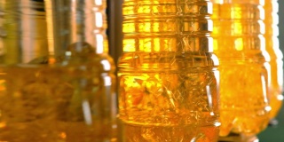 瓶中的葵花籽油在生产线上移动。