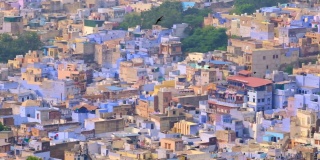 焦特布尔的蓝色城市鸟瞰图。从印度拉贾斯坦邦梅兰加尔堡(Mehrangarh Fort)俯瞰，清晨婆罗门住宅上空，蓝色的房屋和鸟儿在飞翔。相机水平锅