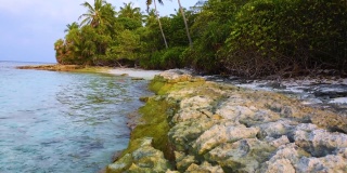 遥远的热带岛屿，植被茂密，有椰子树